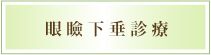 眼瞼下垂診療