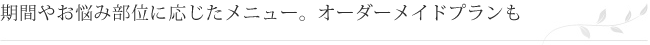 期間やお悩み部位に応じたメニュー。オーダーメイドプランも