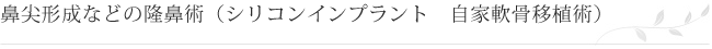 顔面骨形成術によるりんかく形成