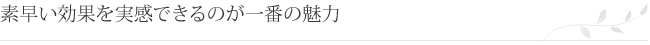 素早い効果を実感できるのが一番の魅力